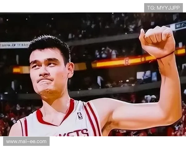 姚明的传奇时刻：17盖帽背后的篮球故事与精神传承