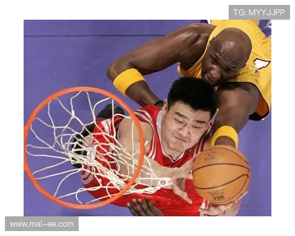 姚明传奇再续野球王的梦想与奋斗之路